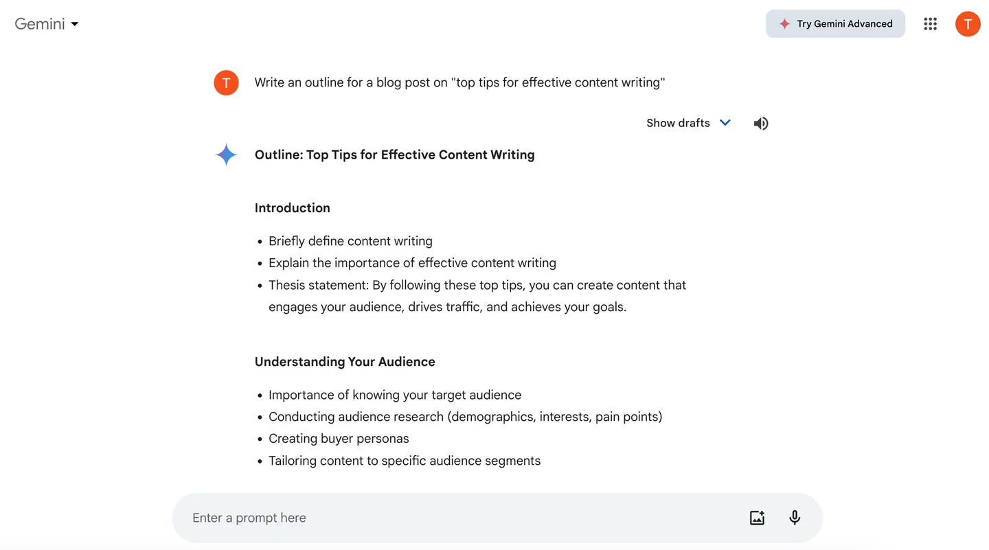 screenshot of Gemini AI tool