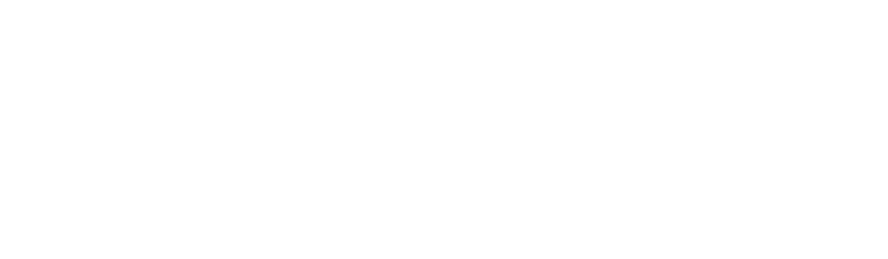 Magento Magento logo