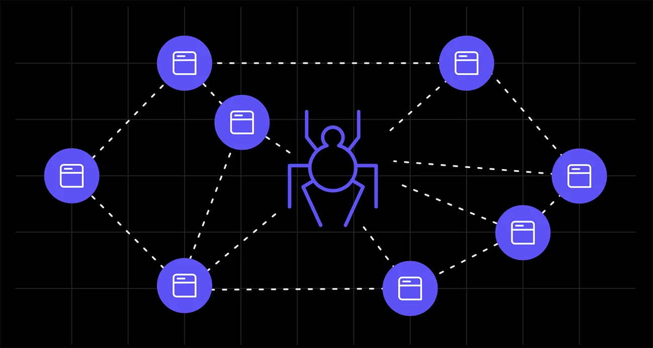 A spider crawling websites